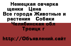 Немецкая овчарка щенки › Цена ­ 20 000 - Все города Животные и растения » Собаки   . Челябинская обл.,Троицк г.